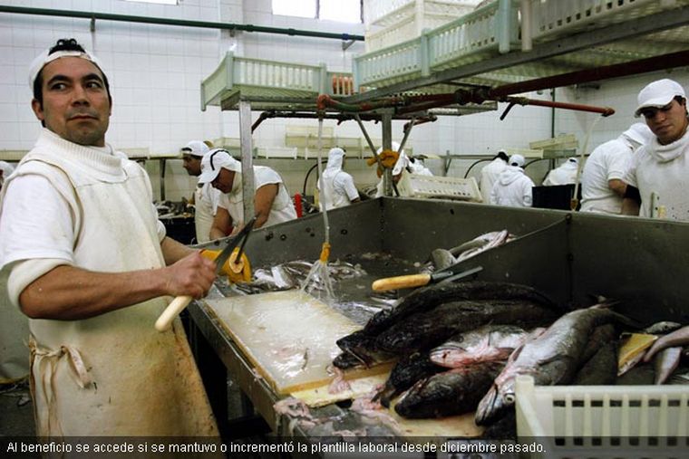 Disponen una fuerte reducción a las retenciones al pescado