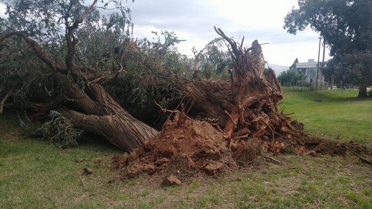 FOTO: Al Sur de la provincia, en Adelia María, cayó granizo.