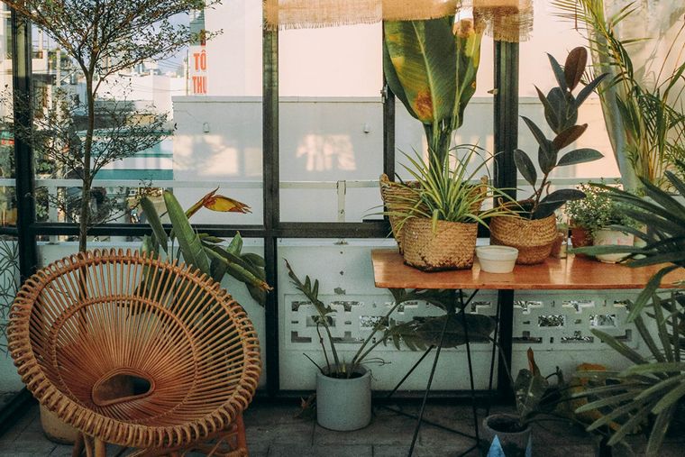 No hay que temer convertir al hogar en una pequeña jungla (Marie Claire/Edisur)