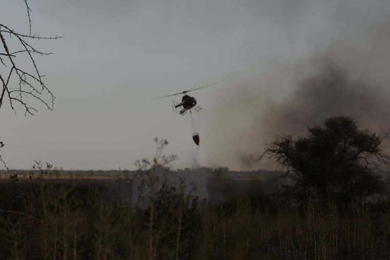 Incendio en el Parque Nacional Ciervo de los Pantanos.