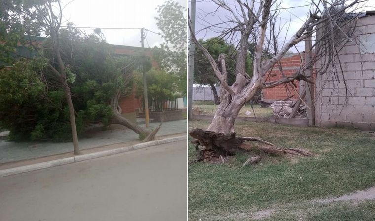 Las ráfagas de viento provocaron inconvenientes en La Toma.