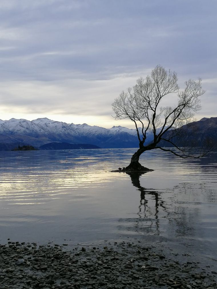 Probaron viajar y trabajar y ahora viven en Nueva Zelanda