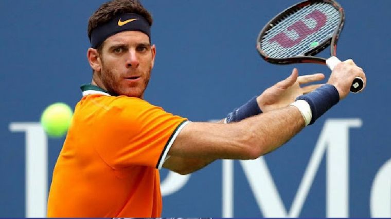 Juan Martín del Potro ilusionó a los argentinos con su vuelta.
