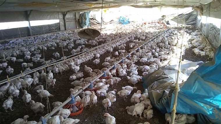 El temporal en el sur de Córdoba provocó graves destrozos.