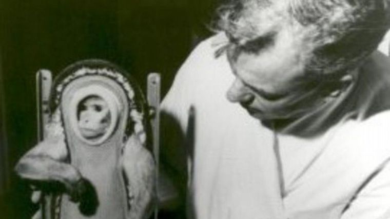 FOTO: El astronauta que vivió en el zoológico de Córdoba