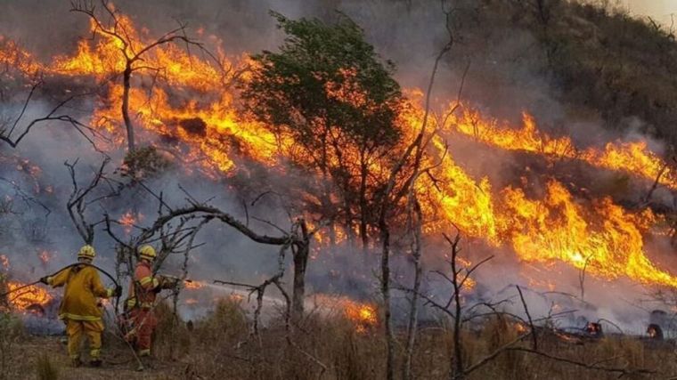 FOTO: Los incendios no dan tregua y la Patagonia continúa en alerta. 