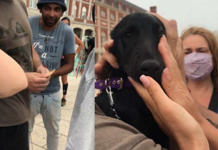 FOTO: Rescataron a un cachorro que era maltratado por su dueño.