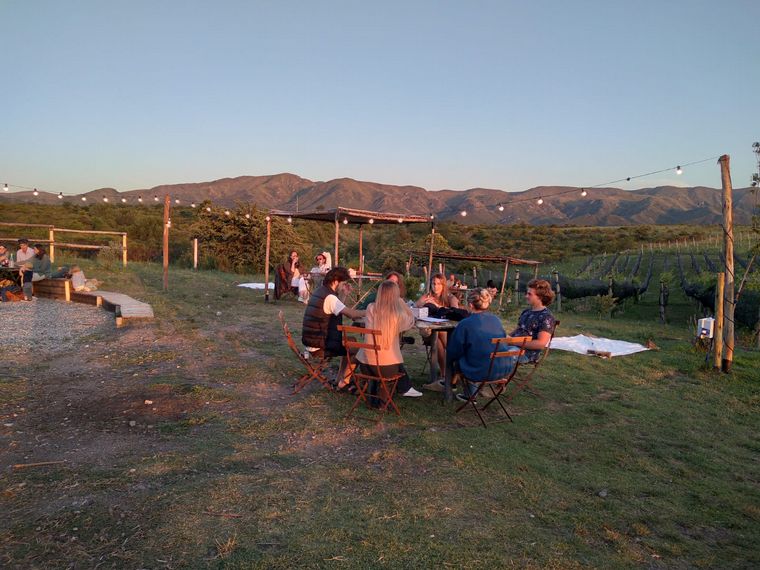 FOTO: Nébula, un viñedo que además ofrece gastronomía en el Valle de Punilla.