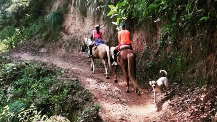 AUDIO: Un cabalgata ofrece una experiencia única en las yungas tucumanas