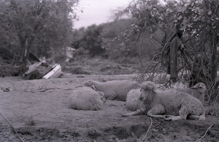 A 30 años de la catástrofe en San Carlos Mina (Foto: Daniel Cáceres).
