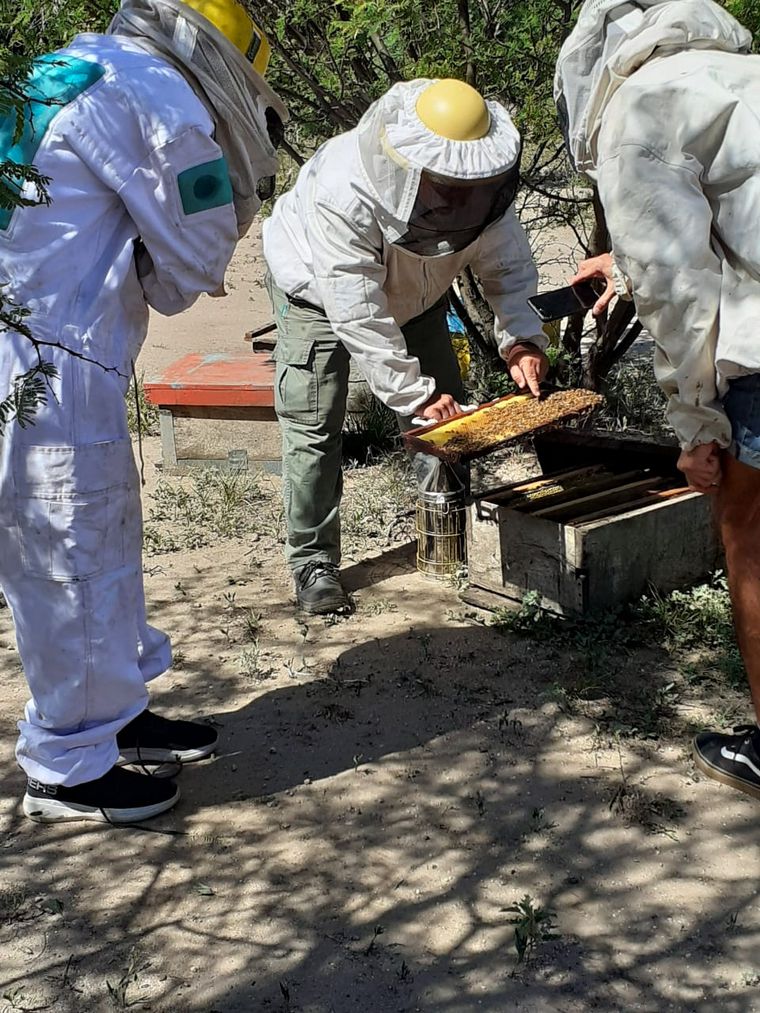 FOTO: Orlando Morales fue apicultor por un día en San Marcos Sierras.