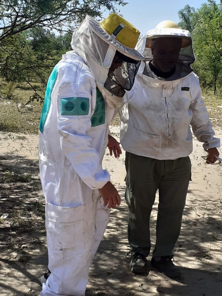 Orlando Morales fue apicultor por un día en San Marcos Sierras.