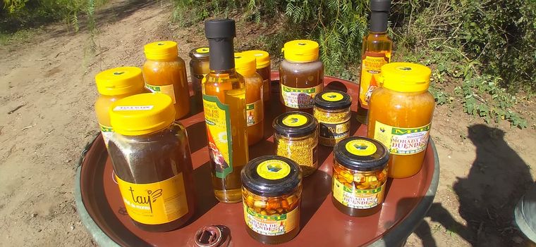 Orlando Morales fue apicultor por un día en San Marcos Sierras.