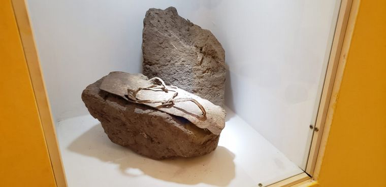 Una visita al Museo Regional de la Cultura Sanavirona.