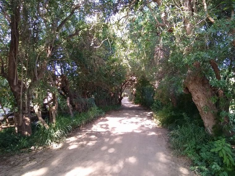 Siempre es hoy, la librería mágica de San Marcos Sierras.