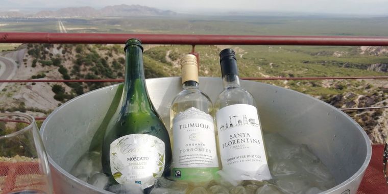 El Torrontés riojano, el verdadero vino argentino