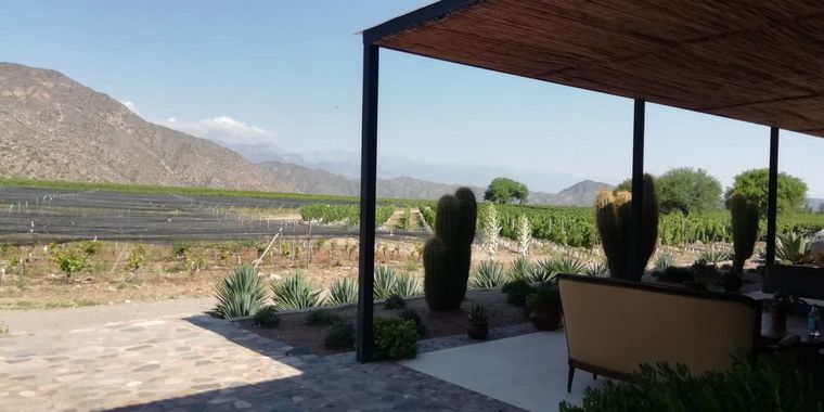 Chañarmuyo, un hotel del vino all inclusive