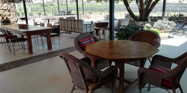 Chañarmuyo, un hotel del vino all inclusive