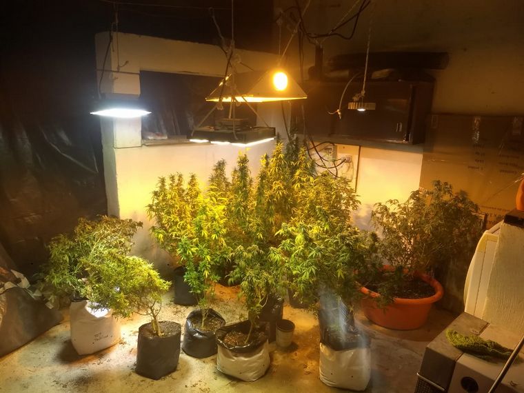 Secuestro marihuana y éxtasis en Córdoba