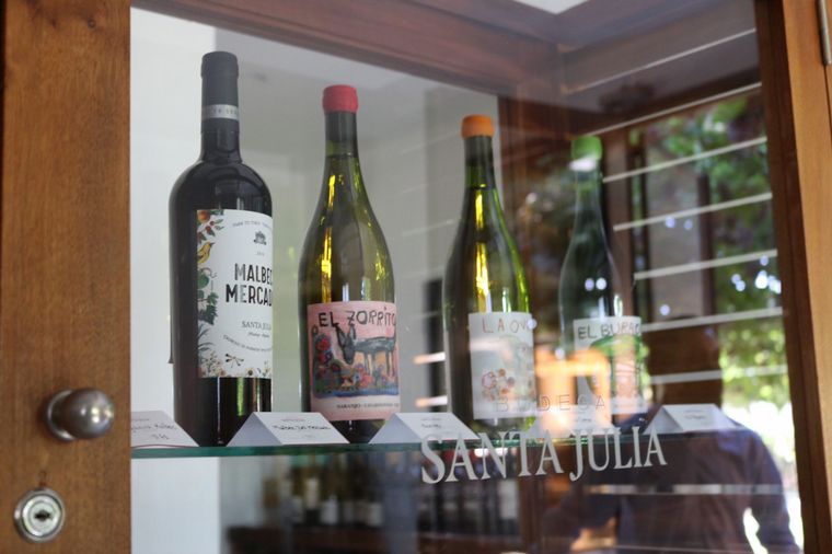 Visitamos la Bodega Santa Julia