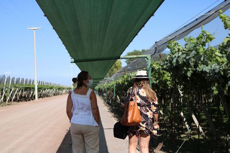 Visitamos la Bodega Santa Julia