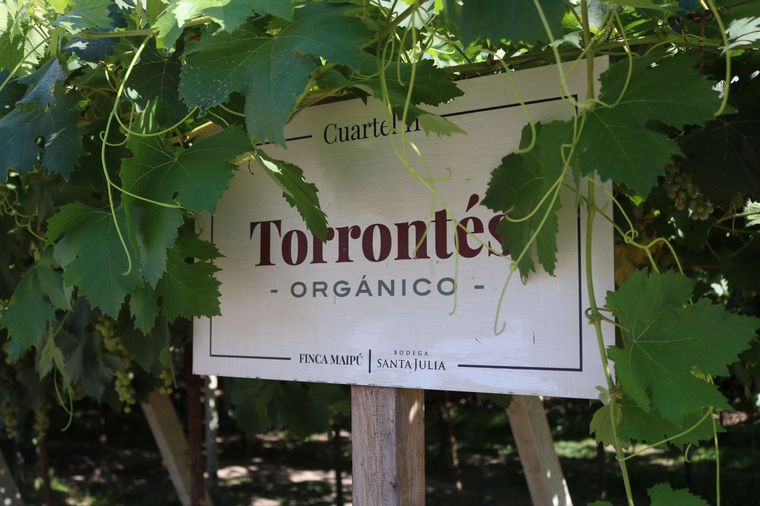 Visitamos la Bodega Santa Julia