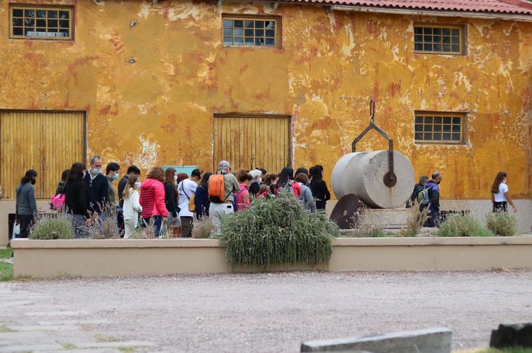 FOTO: Cómo es Laur, la mejor olivícola del mundo ubicada en Mendoza.