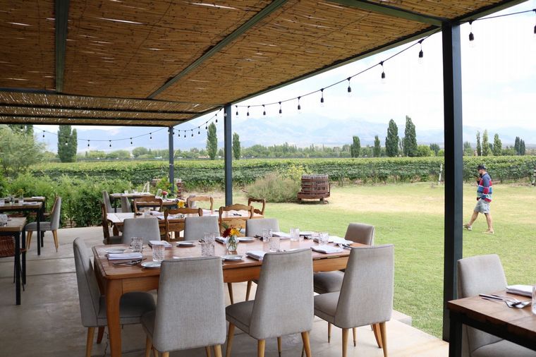 Riccitelli Wines, una de las bodegas más distinguidas de Mendoza.