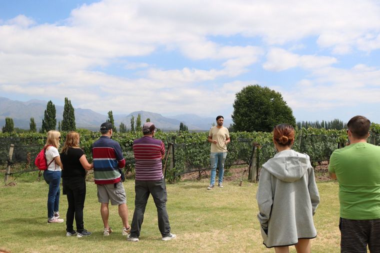 FOTO: Riccitelli Wines, una de las bodegas más distinguidas de Mendoza.