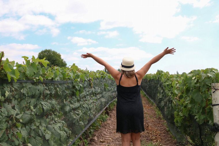 FOTO: Riccitelli Wines, una de las bodegas más distinguidas de Mendoza.