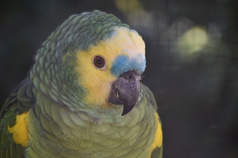 Centro de Conservación Aguará