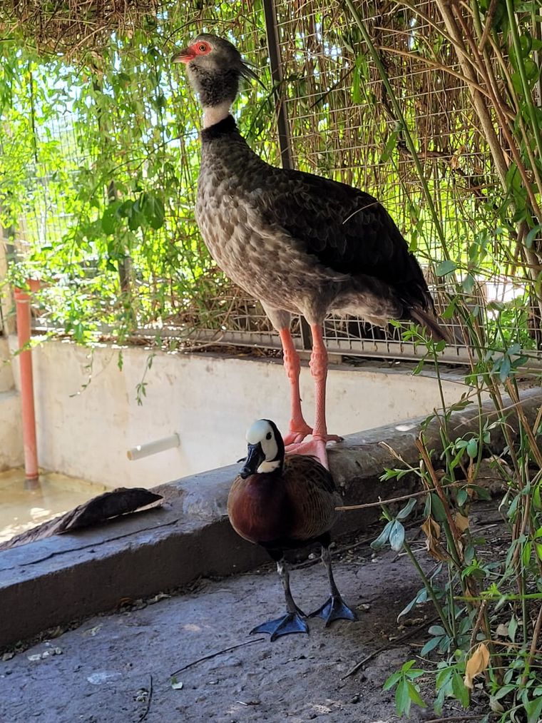 Centro de Conservación Aguará