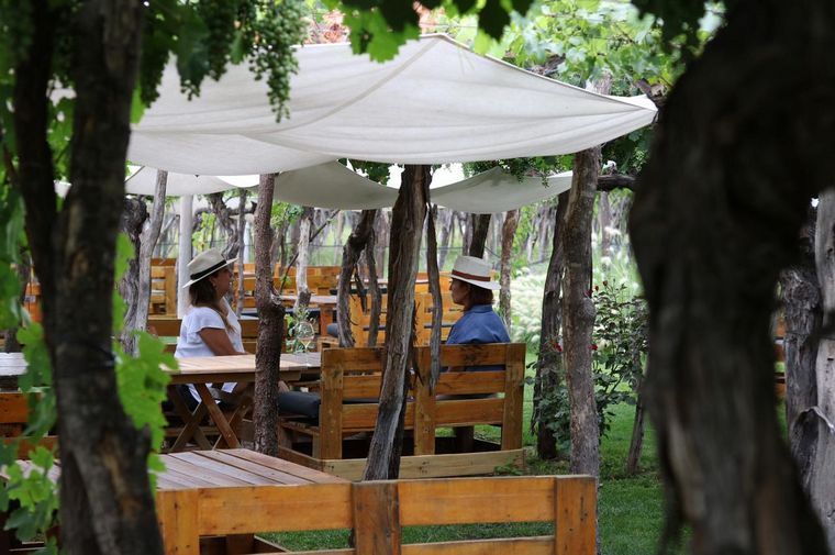 FOTO: Bodega Kaiken tiene el mejor restaurante de Mendoza