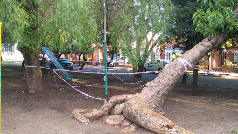 FOTO: Un menor murió al recibir una descarga al tocar un poste en una plaza de Córdoba.