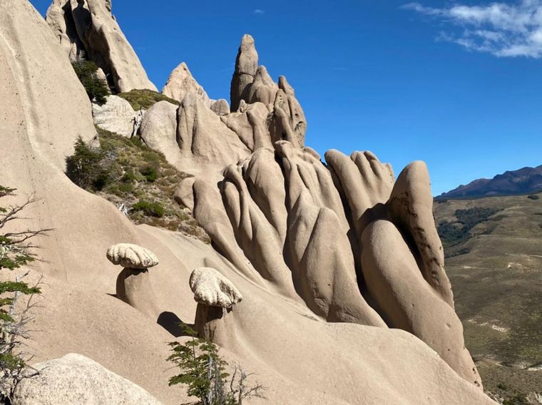 La caminata dura 4 horas aproximadamente. Foto: Agencia de Noticias de Bariloche