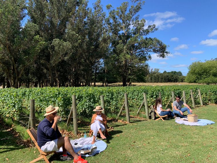 Costa y Pampa de Trapiche, primera bodega oceánica de Latinoamérica.