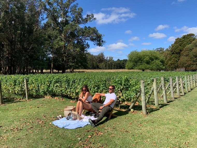 Costa y Pampa de Trapiche, primera bodega oceánica de Latinoamérica.