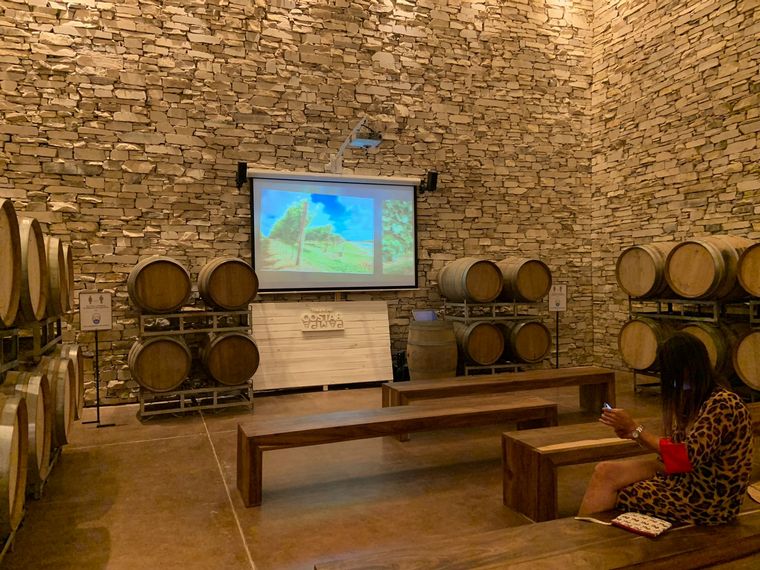 Costa y Pampa de Trapiche, primera bodega oceánica de Latinoamérica.