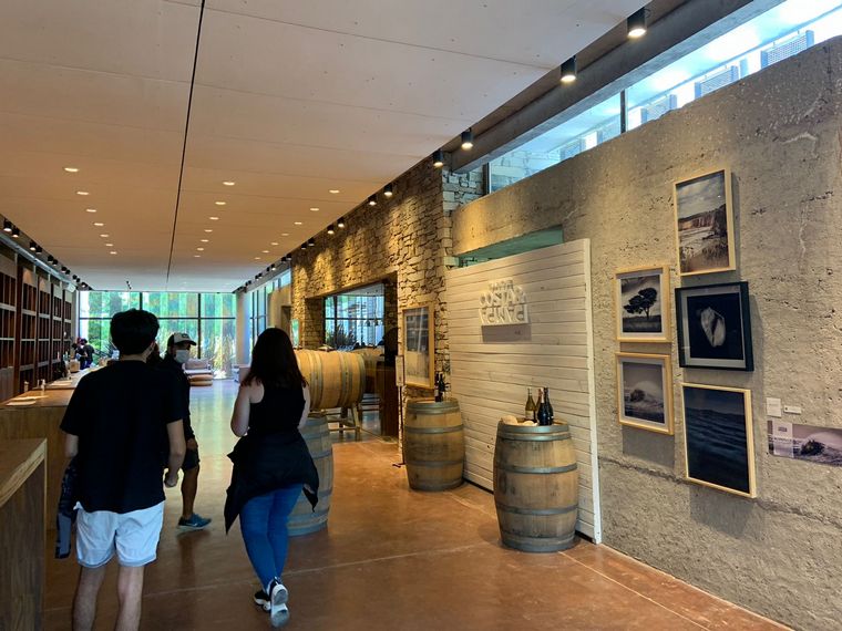 Costa y Pampa de Trapiche, primera bodega oceánica de Latinoamérica.