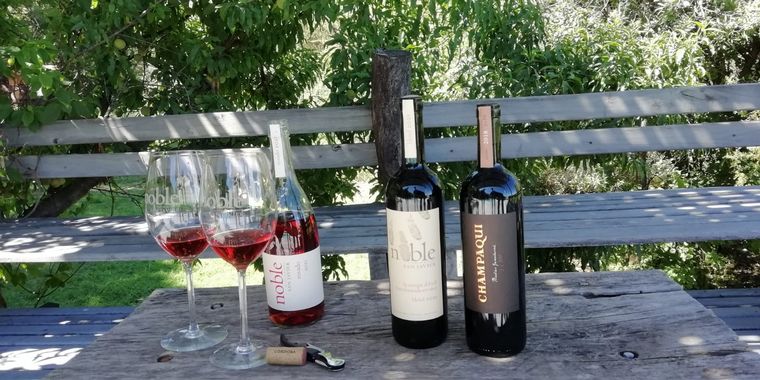  El Noble San Javier, una bodega biodinámica en el corazón de Traslasierra