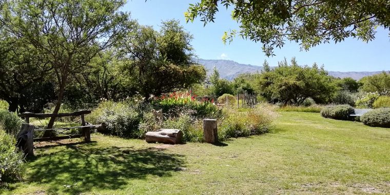  El Noble San Javier, una bodega biodinámica en el corazón de Traslasierra