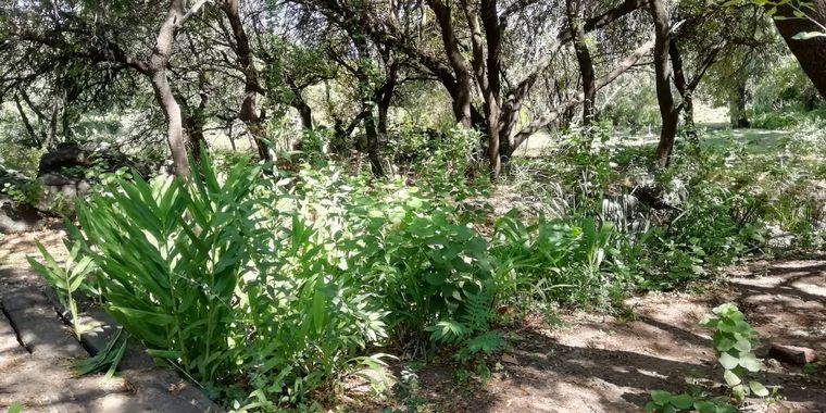  El Noble San Javier, una bodega biodinámica en el corazón de Traslasierra