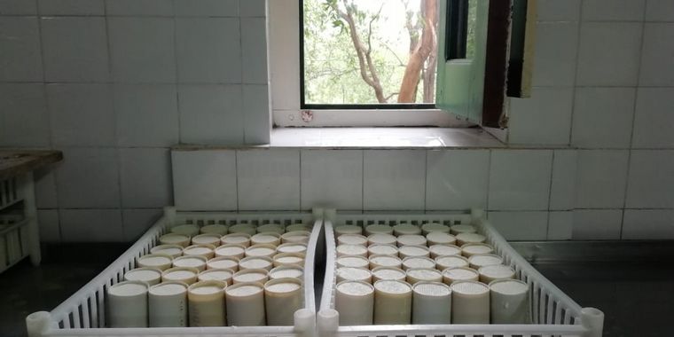 Una quesería francesa en el corazón de Traslasierra