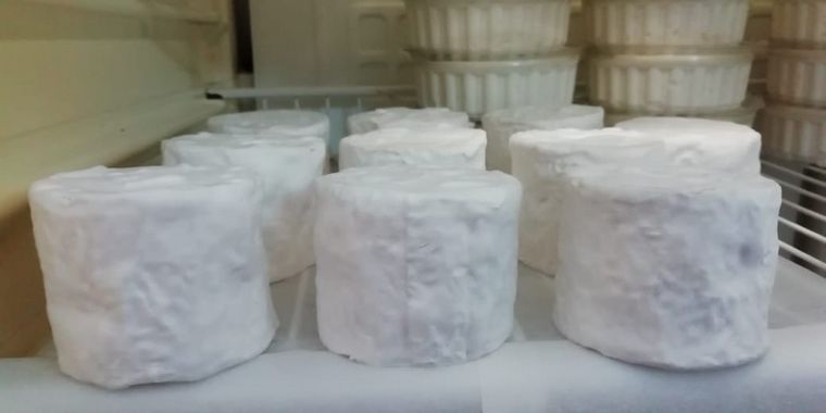 Una quesería francesa en el corazón de Traslasierra