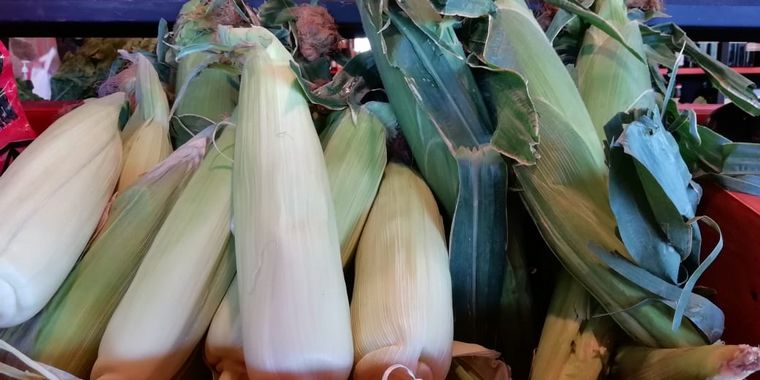FOTO: Aloe, producción y consumo consciente y responsable en Traslasierra