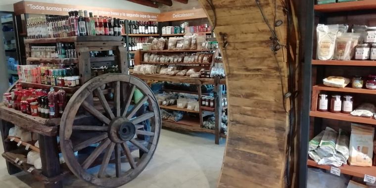 Aloe, producción y consumo consciente y responsable en Traslasierra