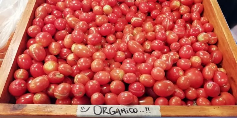 Aloe, producción y consumo consciente y responsable en Traslasierra