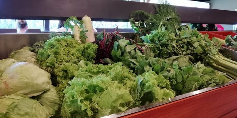 Aloe, producción y consumo consciente y responsable en Traslasierra