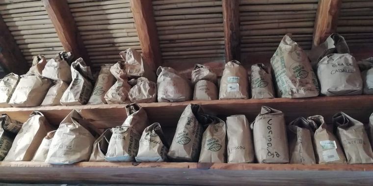 Aloe, producción y consumo consciente y responsable en Traslasierra