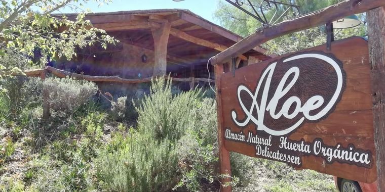 Aloe, producción y consumo consciente y responsable en Traslasierra